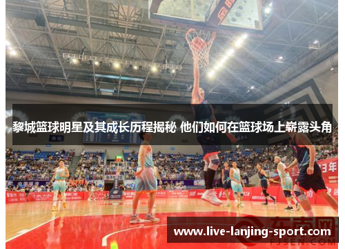 黎城篮球明星及其成长历程揭秘 他们如何在篮球场上崭露头角
